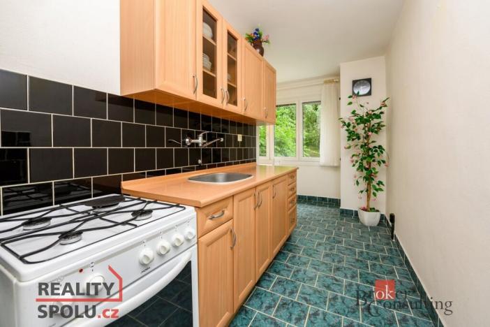 Prodej bytu 2+1, Plzeň - Doubravka, Ke Špitálskému lesu, 58 m2