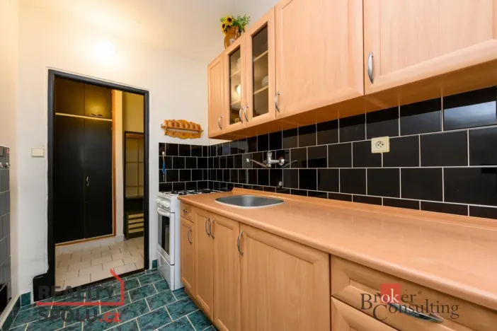 Prodej bytu 2+1, Plzeň - Doubravka, Ke Špitálskému lesu, 58 m2