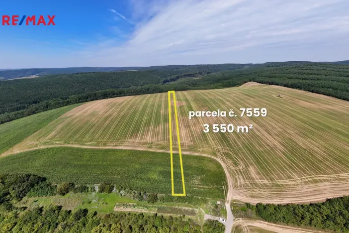 Prodej pole, Lovčice, 5541 m2