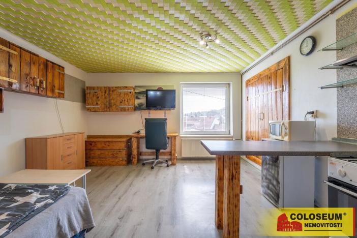 Prodej vícegeneračního domu, Dolní Kounice, 170 m2