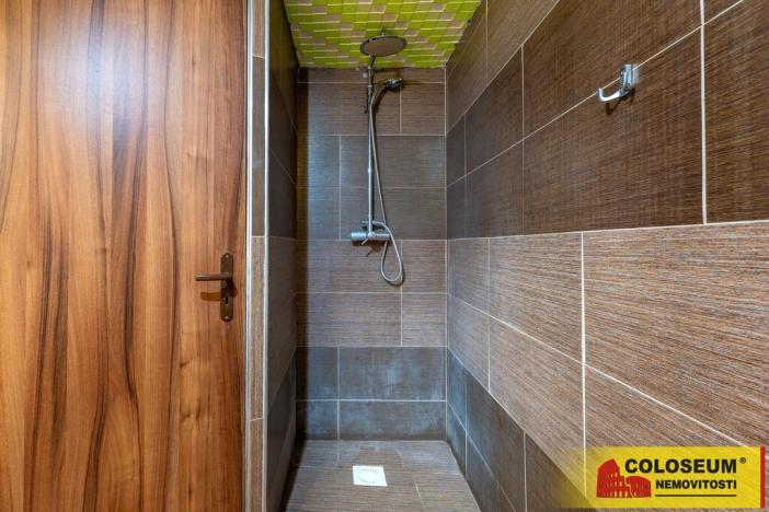 Prodej vícegeneračního domu, Dolní Kounice, 170 m2