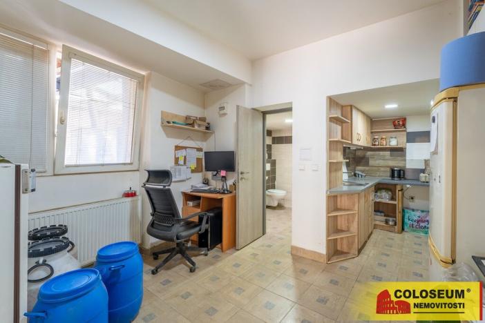 Prodej vícegeneračního domu, Dolní Kounice, 170 m2