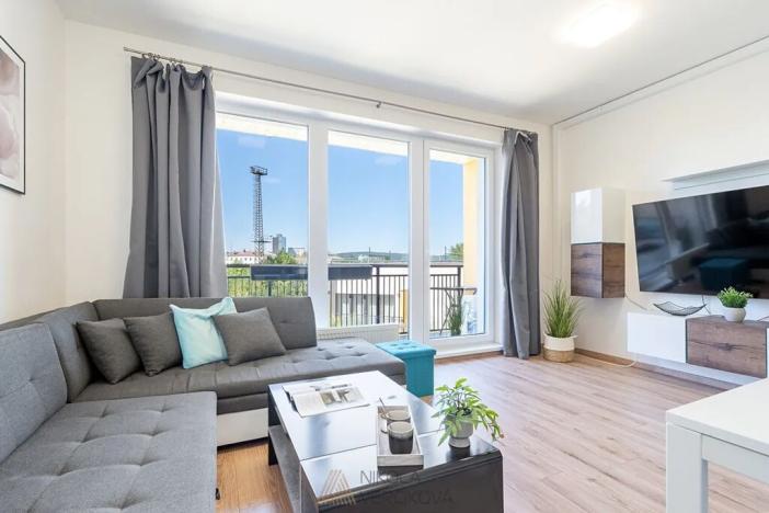Pronájem bytu 2+kk, Brno, Plotní, 52 m2