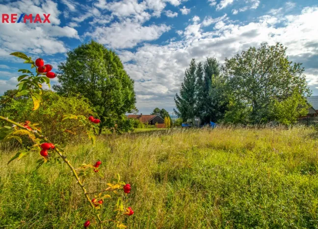 Prodej pozemku pro bydlení, Bačalky, 2594 m2