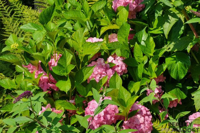 Prodej zahrady, Moravský Krumlov, 756 m2