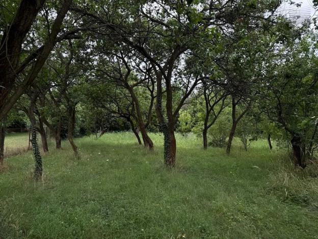 Prodej pozemku pro bydlení, Brno, Moravanské lány, 1096 m2