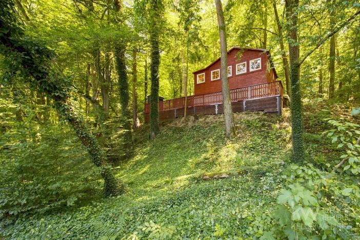 Prodej chaty, Plešnice, 29 m2