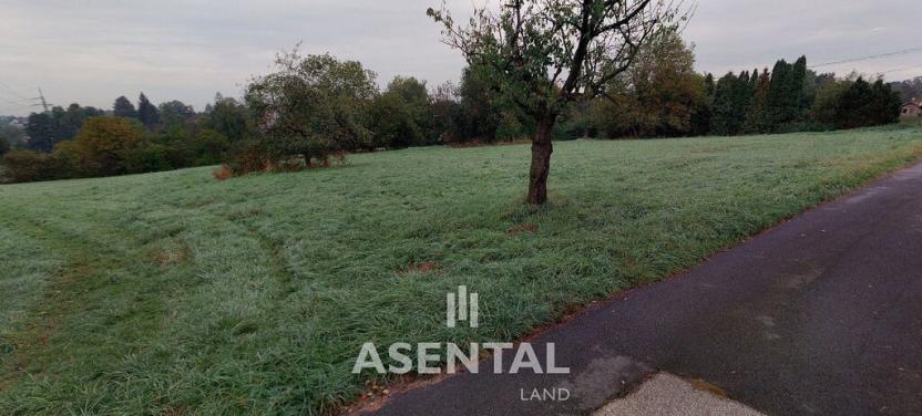 Prodej pozemku, Petřvald, Josefa Holuba, 2968 m2