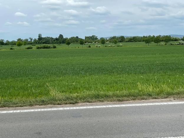 Prodej pole, Brno, 11752 m2