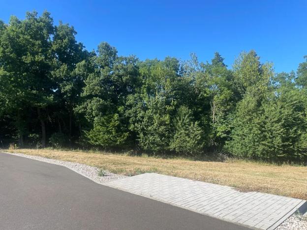 Prodej pozemku pro bydlení, Buš, 1284 m2