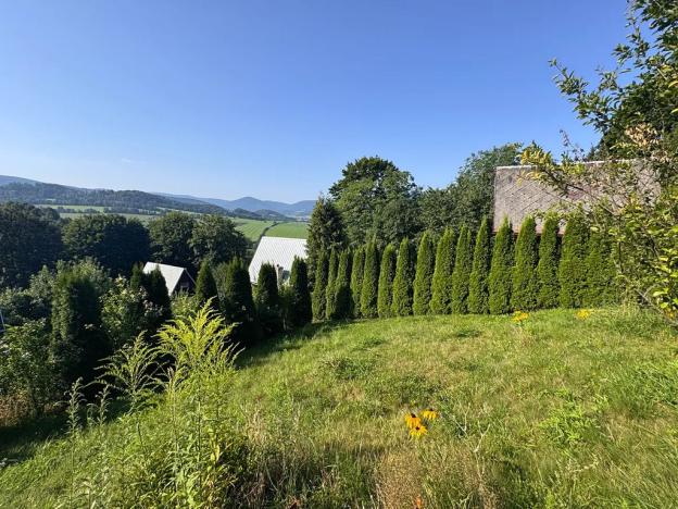 Prodej chaty, Jeseník, Za Pilou, 40 m2