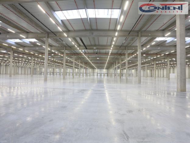 Pronájem výrobních prostor, Kladno - Dubí, Dubská, 55630 m2