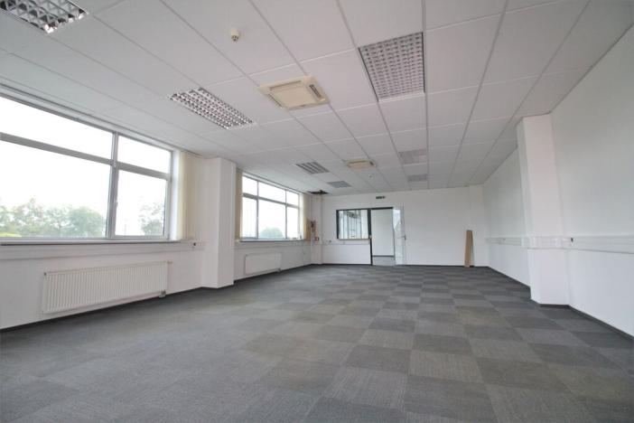 Pronájem výrobních prostor, Hustopeče, Brněnská, 15754 m2