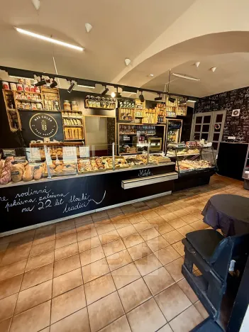 Prodej činžovního domu, Štětí, Krátká, 748 m2