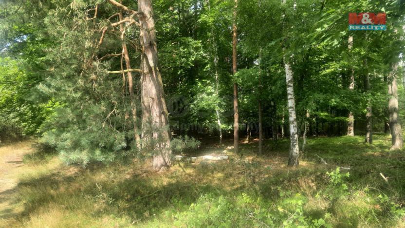 Prodej lesa, Březovice, 108447 m2
