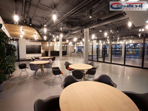 Pronájem výrobních prostor, Nýřany, Hřbitovní, 18781 m2