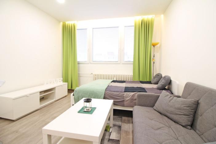 Pronájem bytu 1+kk, Brno - Lesná, Halasovo náměstí, 23 m2