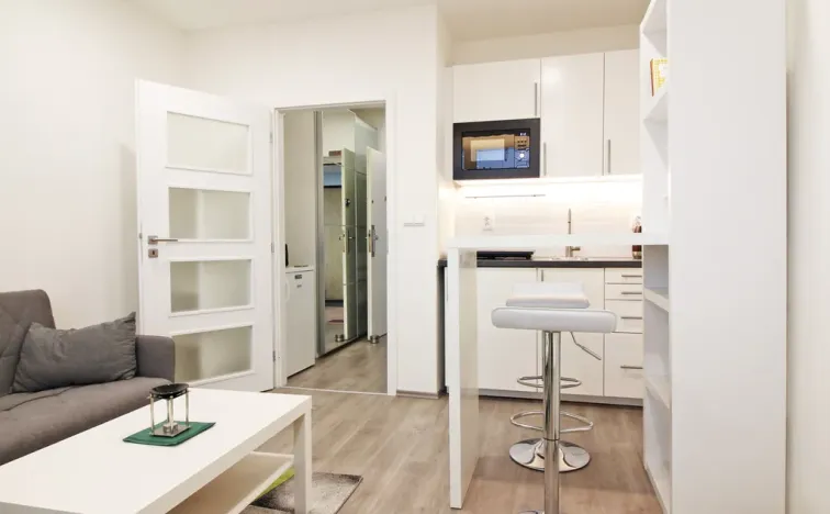 Pronájem bytu 1+kk, Brno - Lesná, Halasovo náměstí, 23 m2