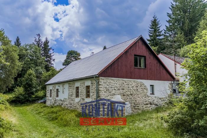 Prodej rodinného domu, Horní Stropnice - Hojná Voda, 550 m2