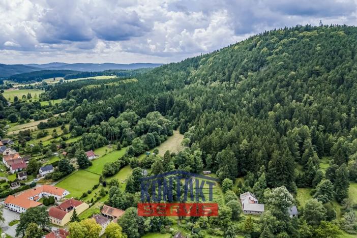 Prodej rodinného domu, Horní Stropnice - Hojná Voda, 550 m2