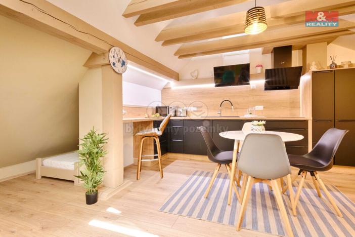 Prodej bytu 1+kk, Jindřichův Hradec - Jindřichův Hradec III, Mlýnská, 65 m2