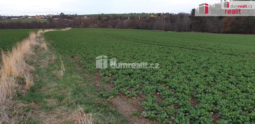 Prodej pole, Dolní Lhota, 3516 m2
