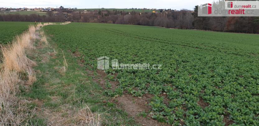 Prodej pole, Dolní Lhota, 3516 m2