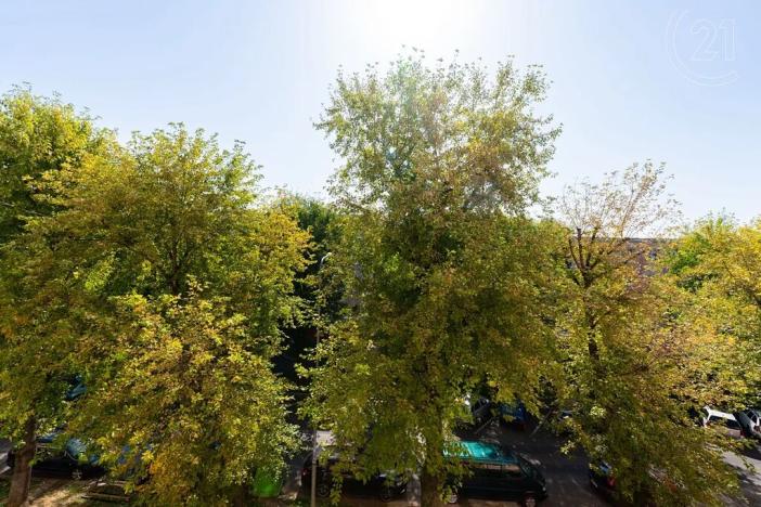 Prodej bytu 3+1, Most, Obránců míru, 74 m2