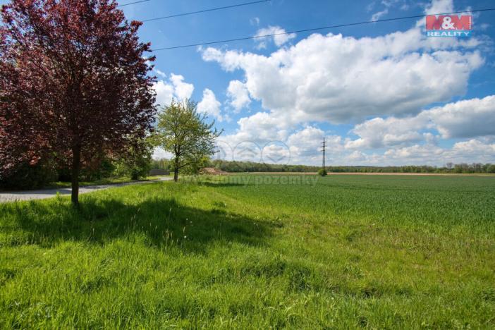 Prodej pozemku pro bydlení, Lešná, 3195 m2