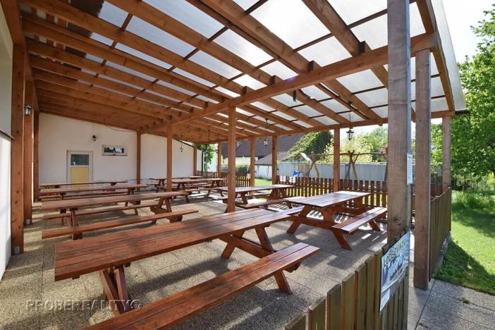 Prodej ubytování, Zvíkovské Podhradí, 780 m2