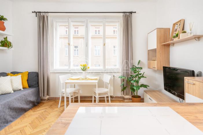 Pronájem bytu 1+kk, Praha - Smíchov, Kotevní, 30 m2
