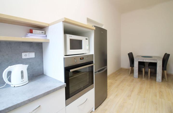 Pronájem bytu 1+1, Olomouc, Univerzitní, 46 m2