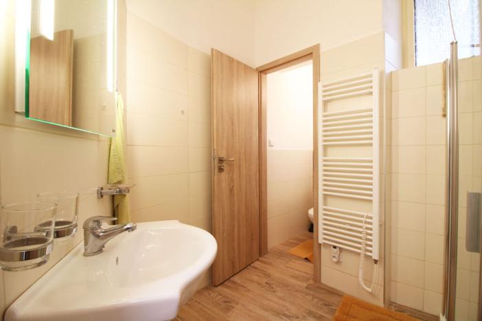 Pronájem bytu 1+1, Olomouc, Univerzitní, 46 m2