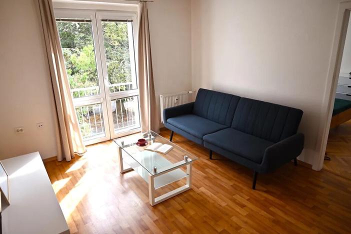 Pronájem bytu 2+1, České Budějovice, Puklicova, 50 m2