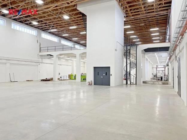 Prodej výrobních prostor, Kostelec nad Labem, 14955 m2