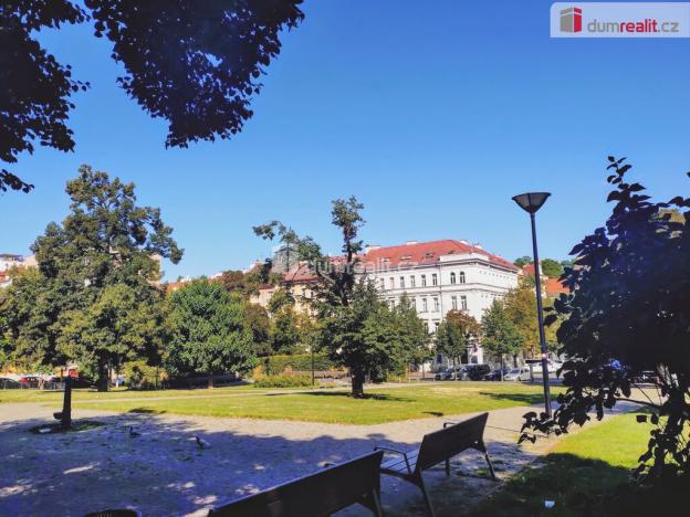 Pronájem kanceláře, Praha, Žerotínova, 48 m2