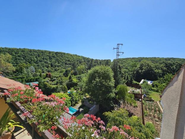 Prodej vícegeneračního domu, Brno - Bystrc, Šemberova, 320 m2