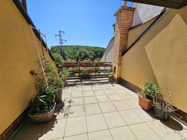 Prodej vícegeneračního domu, Brno - Bystrc, Šemberova, 320 m2