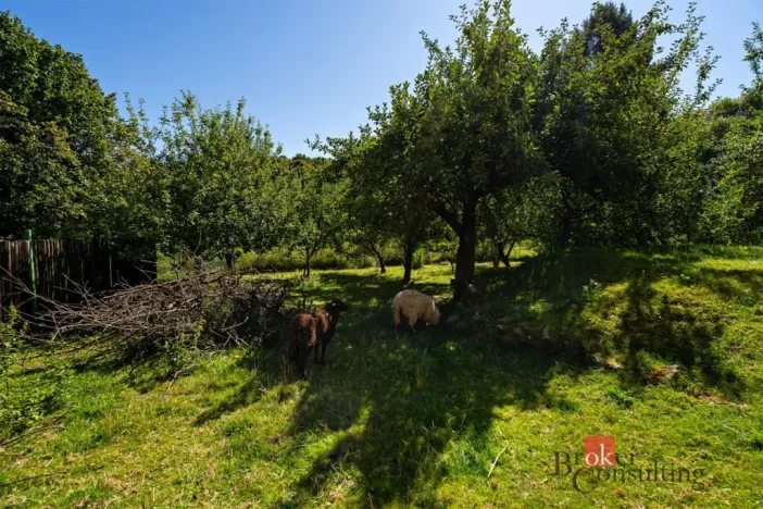 Prodej rodinného domu, Všepadly, 92 m2
