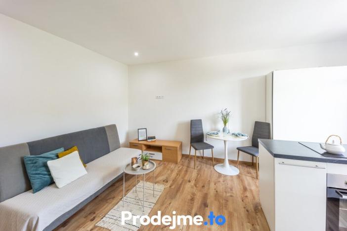 Prodej bytu 1+kk, Znojmo, Růženy Svobodové, 28 m2
