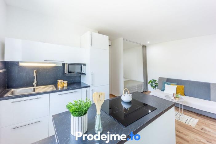 Prodej bytu 1+kk, Znojmo, Růženy Svobodové, 28 m2