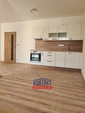 Pronájem bytu 1+kk, České Budějovice - České Budějovice 2, 48 m2