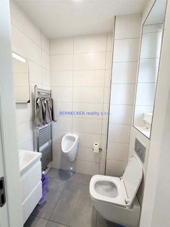 Pronájem bytu 4+kk, Hradec Králové, třída Karla IV., 135 m2