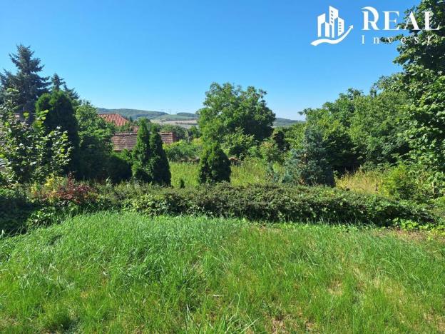 Prodej rodinného domu, Skršín, 524 m2