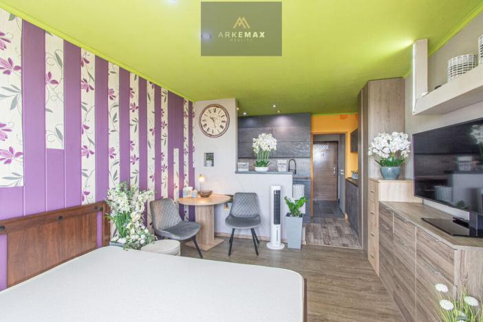 Prodej bytu 1+kk, Ostrava, Lechowiczova, 28 m2