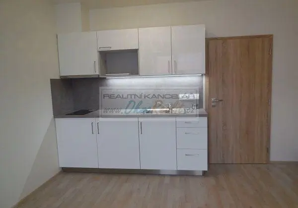 Pronájem bytu 1+kk, Brno - Slatina, Tilhonova, 30 m2