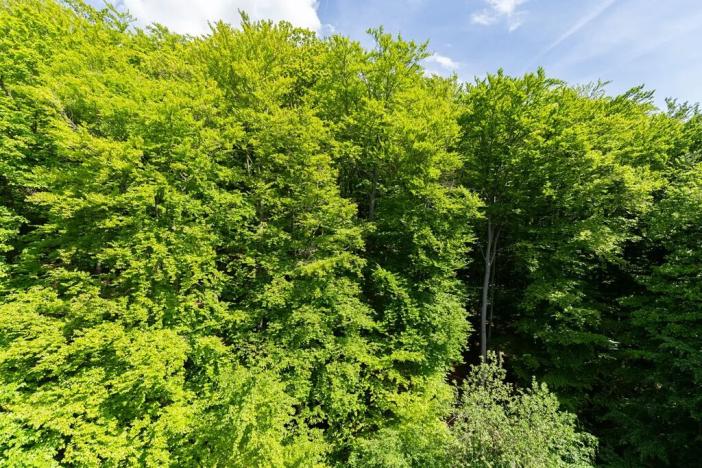 Prodej bytu 4+1, Litvínov, Luční, 90 m2