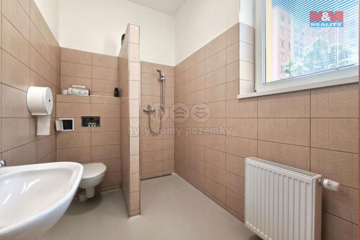 Pronájem obchodního prostoru, Mladá Boleslav - Mladá Boleslav II, 17. listopadu, 160 m2