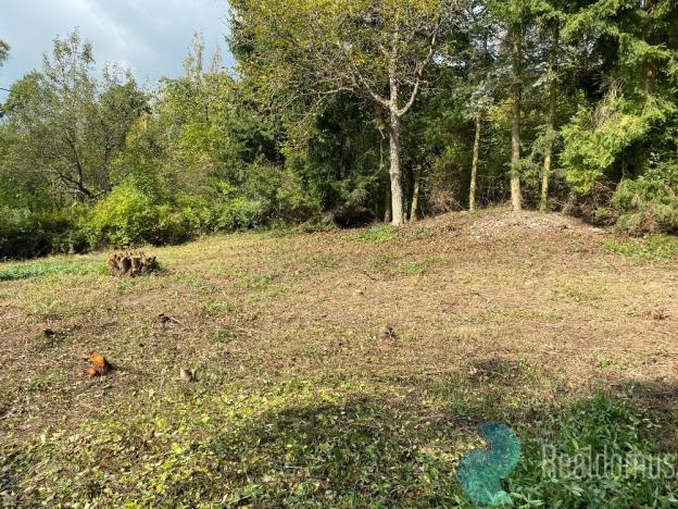 Prodej pozemku pro bydlení, Nová Ves pod Pleší, 680 m2