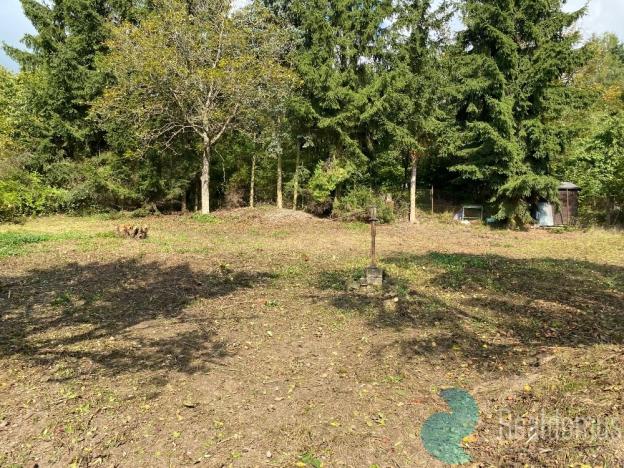 Prodej pozemku pro bydlení, Nová Ves pod Pleší, 680 m2